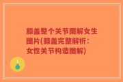 膝盖整个关节图解女生图片(膝盖完整解析：女性关节构造图解)