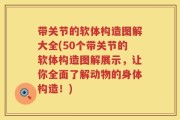 带关节的软体构造图解大全(50个带关节的软体构造图解展示，让你全面了解动物的身体构造！)
