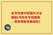 关节纹路对称图片大全图解(对称关节线图解，帮助理解骨骼结构)