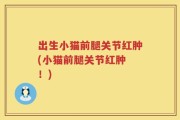 出生小猫前腿关节红肿(小猫前腿关节红肿 ！)