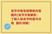 关节分类包括哪些内容图片(关节分类解析：了解人体关节构造与分类  图片详解)