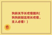 狗前关节长疙瘩图片(狗狗前腿出现长疙瘩，主人必看！)