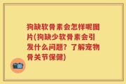 狗缺软骨素会怎样呢图片(狗缺少软骨素会引发什么问题？了解宠物骨关节保健)