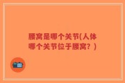腰窝是哪个关节(人体哪个关节位于腰窝？)