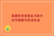 氨糖软骨素维谷力助力关节健康与灵活生活