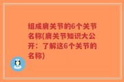 组成肩关节的6个关节名称(肩关节知识大公开：了解这6个关节的名称)