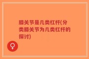 膝关节是几类杠杆(分类膝关节为几类杠杆的探讨)