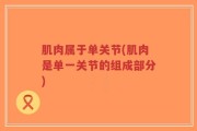 肌肉属于单关节(肌肉是单一关节的组成部分)
