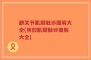 腕关节肌腱触诊图解大全(腕部肌腱触诊图解大全)