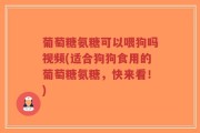 葡萄糖氨糖可以喂狗吗视频(适合狗狗食用的葡萄糖氨糖，快来看！)