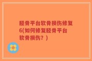 胫骨平台软骨损伤修复6(如何修复胫骨平台软骨损伤？)