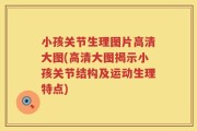 小孩关节生理图片高清大图(高清大图揭示小孩关节结构及运动生理特点)