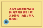 上肢关节排列图片高清图(高清图片展示上肢关节排列，助你了解人体结构)