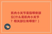 肌肉小关节是指哪些部位(什么是肌肉小关节？相关部位有哪些？)