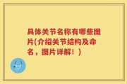 具体关节名称有哪些图片(介绍关节结构及命名，图片详解！)