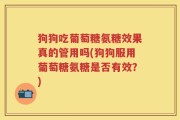 狗狗吃葡萄糖氨糖效果真的管用吗(狗狗服用葡萄糖氨糖是否有效？)