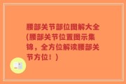腰部关节部位图解大全(腰部关节位置图示集锦，全方位解读腰部关节方位！)