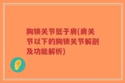 胸锁关节低于肩(肩关节以下的胸锁关节解剖及功能解析)