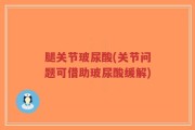 腿关节玻尿酸(关节问题可借助玻尿酸缓解)