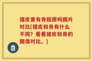 猪皮里有骨胶原吗图片对比(猪皮和骨有什么不同？看看猪皮和骨的图像对比。)