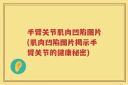 手臂关节肌肉凹陷图片(肌肉凹陷图片揭示手臂关节的健康秘密)