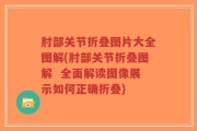肘部关节折叠图片大全图解(肘部关节折叠图解  全面解读图像展示如何正确折叠)