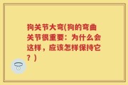 狗关节大弯(狗的弯曲关节很重要：为什么会这样，应该怎样保持它？)