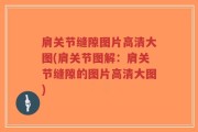 肩关节缝隙图片高清大图(肩关节图解：肩关节缝隙的图片高清大图)