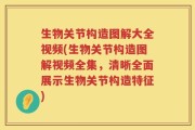 生物关节构造图解大全视频(生物关节构造图解视频全集，清晰全面展示生物关节构造特征)
