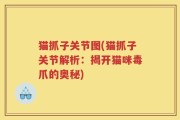 猫抓子关节图(猫抓子关节解析：揭开猫咪毒爪的奥秘)