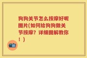 狗狗关节怎么按摩好呢图片(如何给狗狗做关节按摩？详细图解教你！)