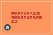 脚眼关节图片大全(常见脚眼关节图片及解析汇总)