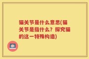 猫关节是什么意思(猫关节是指什么？探究猫的这一特殊构造)