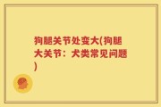 狗腿关节处变大(狗腿大关节：犬类常见问题)