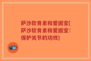 萨沙软骨素和爱固宝(萨沙软骨素和爱固宝：保护关节的功效)