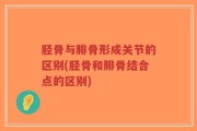 胫骨与腓骨形成关节的区别(胫骨和腓骨结合点的区别)