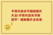 手臂内部关节图解图片大全(手臂内部关节解剖学：图解图片全收录)