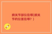 腕关节部位在哪(腕关节的位置在哪？)