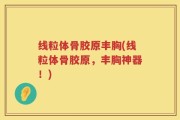 线粒体骨胶原丰胸(线粒体骨胶原，丰胸神器！)