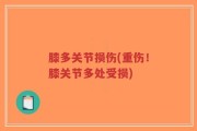 膝多关节损伤(重伤！膝关节多处受损)