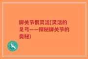 脚关节很灵活(灵活的足弓——探秘脚关节的奥秘)