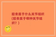 胫骨属于什么关节组织(胫骨属于哪种关节组织？)