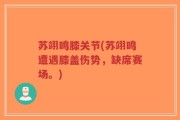 苏翊鸣膝关节(苏翊鸣遭遇膝盖伤势，缺席赛场。)