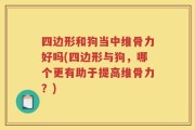 四边形和狗当中维骨力好吗(四边形与狗，哪个更有助于提高维骨力？)