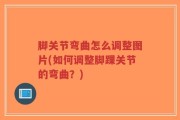 脚关节弯曲怎么调整图片(如何调整脚踝关节的弯曲？)