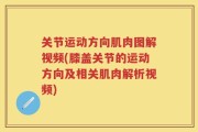 关节运动方向肌肉图解视频(膝盖关节的运动方向及相关肌肉解析视频)