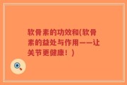 软骨素的功效和(软骨素的益处与作用——让关节更健康！)