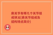 肩关节有哪几个关节组成狭义(肩关节组成及结构特点简介)