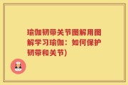 瑜伽韧带关节图解用图解学习瑜伽：如何保护韧带和关节)