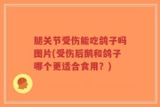 腿关节受伤能吃鸽子吗图片(受伤后鹅和鸽子哪个更适合食用？)